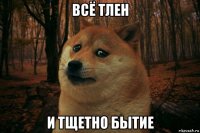 всё тлен и тщетно бытие