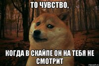 то чувство, когда в скайпе он на тебя не смотрит