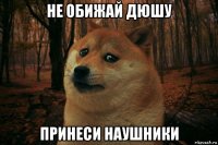 не обижай дюшу принеси наушники