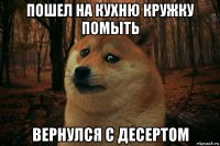 пошел на кухню кружку помыть вернулся с десертом