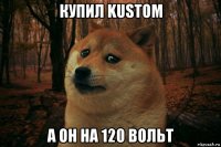 купил kustom а он на 120 вольт