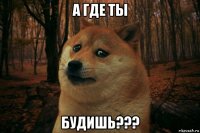 а где ты будишь???