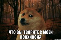  что вы творите с моей психикой?