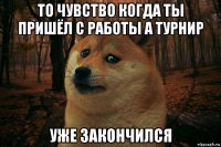 то чувство когда ты пришёл с работы а турнир уже закончился