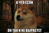 а что если он так и не вырастет