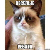 весёлые ребята