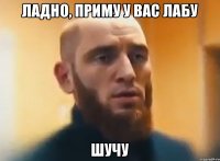 ЛАДНО, ПРИМУ У ВАС ЛАБУ ШУЧУ