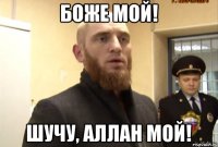 БОЖЕ МОЙ! ШУЧУ, АЛЛАh МОЙ!