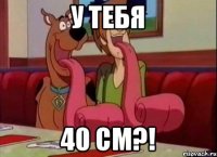 у тебя 40 см?!