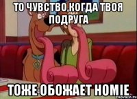 То чувство,когда твоя подруга Тоже обожает Homie