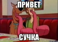 Привет Сучка