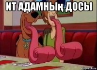 ит адамның досы 