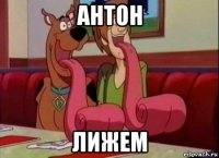 антон лижем