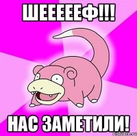 Шеееееф!!! Нас заметили!