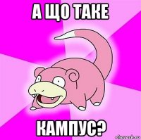 а що таке кампус?