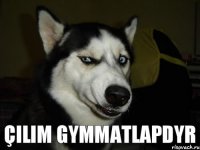 Çilim gymmatlapdyr