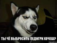 ты чё выбросить Педигри хочеш?