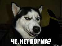 Че, нет корма?