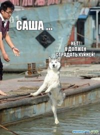 Саша ... нет!
я должен страдать хуйней!