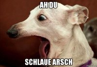 ah du schlaue arsch