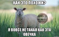 КАК ЭТО ПОХОЖИ? Я ВОВСЕ НЕ ТАКАЯ КАК ЭТА ОВЕЧКА