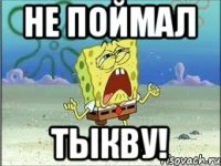 НЕ поймал тыкву!