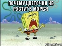 Почему цветочки не ростут в море?! 