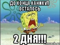 До конца каникул осталось 2 дня!!!