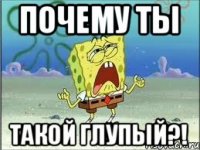 Почему ты такой глупый?!