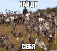 найди себя