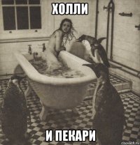 холли и пекари