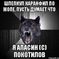 Шлепнул Каранфил по жопе, пусть думает что я АПАСИН (С) Покотилов