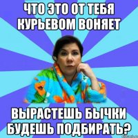 Что это от тебя курьевом воняет Вырастешь бычки будешь подбирать?