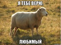 я тебе верю, любимый