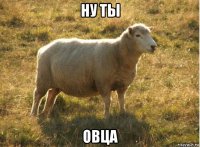 ну ты овца