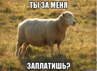 ты за меня заплатишь?