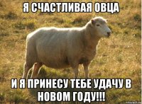 я счастливая овца и я принесу тебе удачу в новом году!!!