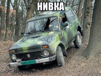 нивка 