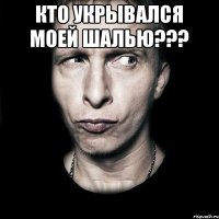 Кто укрывался моей шалью??? 