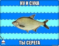 ну и сука ты серега