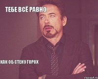 Тебе всё равно  Как об стену горох   