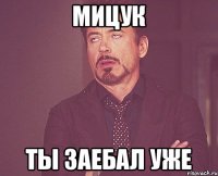 МИЦУК ТЫ заебал уже