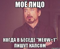 МОЁ ЛИЦО КОГДА В БЕСЕДЕ "MEOW+1" ПИШУТ КАПСОМ