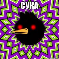 сука 