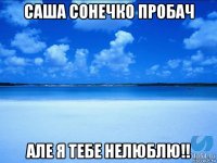 саша сонечко пробач але я тебе нелюблю!!