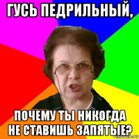 гусь педрильный, почему ты никогда не ставишь запятые?