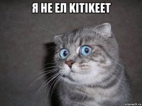 я не ел kitikeet 