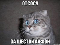 отсосу за шестой айфон