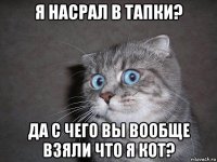 я насрал в тапки? да с чего вы вообще взяли что я кот?