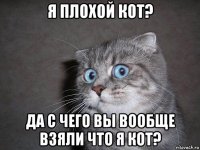 я плохой кот? да с чего вы вообще взяли что я кот?